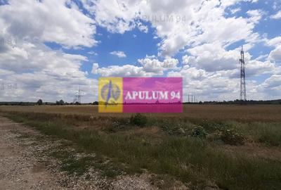 Teren 715mp în Snagov lângă Equestria - 23