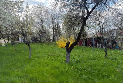 Teren intravilan construibil 1882 mp, front 40 ml, zona turistica, Cornu, Prahov - 6