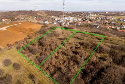 RECO Teren  intravilan- panorama asupra orasului -str. Caisilor - 2