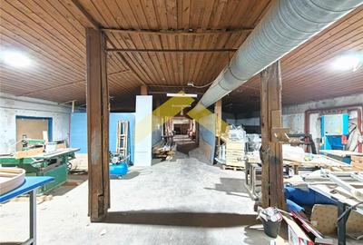 Hala de productie 936 mp de vanzare la Sofronea - 5