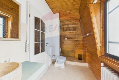 Casă / Vilă cocheta cu 3 camere - de vanzare - zona Basarab - 28