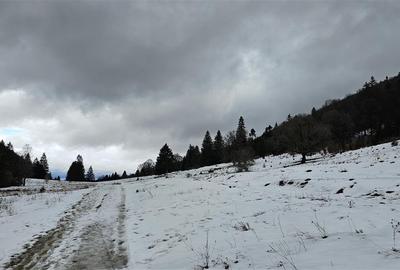Teren superb extravilan in apropiere de Poiana Brasov - 11