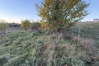 Teren extravilan de vanzare in Salicea 916mp+84mp drum necesită PUZ - 4