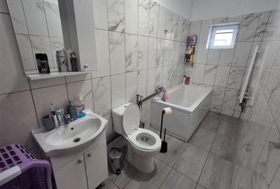 Casa formata din 2 apartamente pivnita zona Turnisor - 23