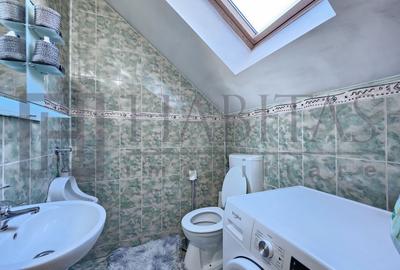 Casa cu 8 camere, dispusa pe doua nivele, Parcul Central - 19