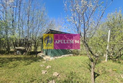 Vila de vanzare in Comarnic - 48