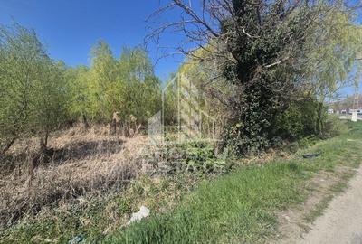 TEREN PE MALUL RÂULUI ARANCA SÂNNICOLAU MARE 0% COMISION CUMPĂRĂTOR - 3