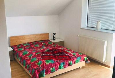 De vanzare casa D+P+M situat in Aradul nou, avand curte proprie - 10