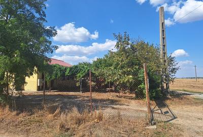 Vând teren intravilan 10.000mp +casa+anexe(spatii prodictie-depozitare) - 15