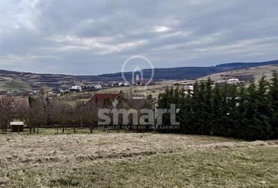 Teren autorizat Borhanci - 7