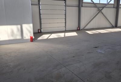 Hala Industriala  - Pantelimon - Cernica , teren 1200 p , 480 depozit , 45 birou - 8