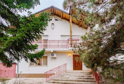 Vilă cu piscină și cabană, teren 2649 mp, Snagov - Ciofliceni - 18