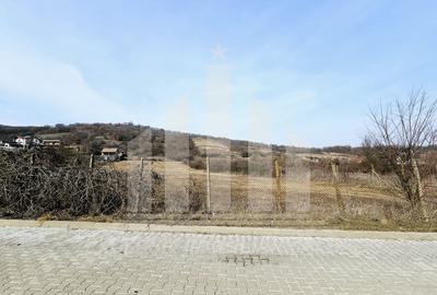 Teren intravilan | 14000 mp | 35 ml deschidere | Valea Popii - 2