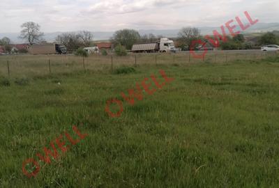 Teren intravilan de vânzare în Moacșa (Eresteghin)! - 6