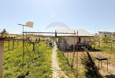 2 CASE + TEREN GENEROS 1592 MP | Langa Codrii Vlasiei | Peris - 11