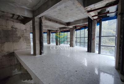 Spatiu comercial Bd. Unirii vis-a-vis Zepter - 6