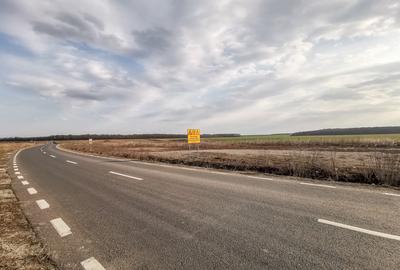 Teren intravilan la asfalt si statie autobuz Ilfov Cernica Posta - 12