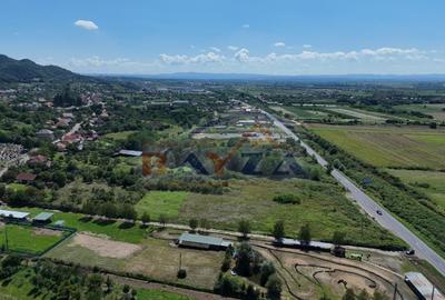 Teren intravilan 7352 mp, cu Deschidere 76.3 m la Șoseaua Națională - Cicârlău - 3