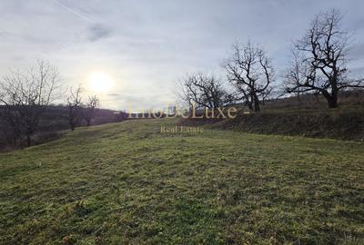 Teren extravilan langa lac, 8500mp, priveliste, acces, utilitati, zona Baciu - 5