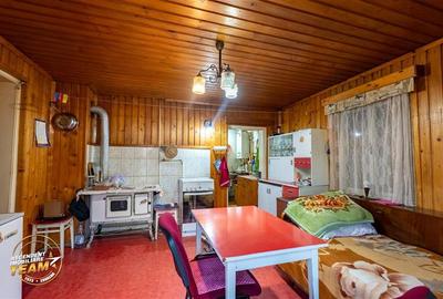 Casa in inima statiunii Covasna, cu gradina, vie si pomi fructiferi - 14