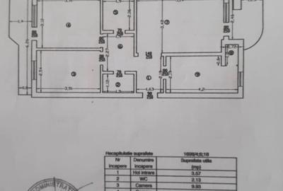 Apartament 3 Camere Pacurari, 2 Bai - 9