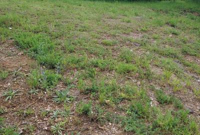 Teren 1.195 mp zona Faget - 1