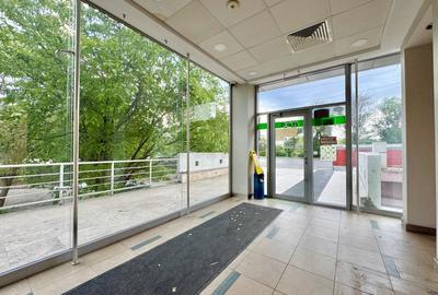 Închiriere Spațiu Comercial Premium central 240mp-Bd. A. Panu, Direct proprietar - 6
