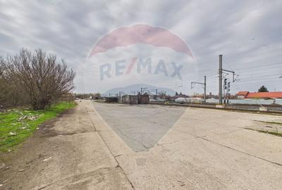 Spațiu industrial de vanzare 7950mp Lehliu Gara acces DN3+A2 - 14