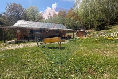 Proprietate eco-turistică de vânzare – 62.330 mp, Horea, Alba - 50