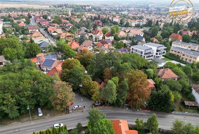 Complex Gastronomic:Afacere la cheie, Restaurant traditional secuiesc+teresa eve - 34