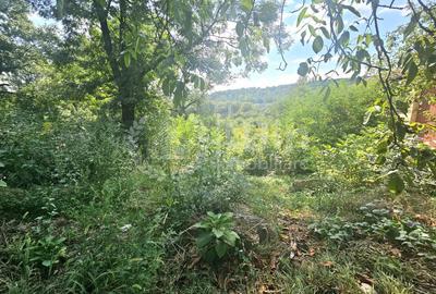 Teren Construcții intravilan de 1000 mp, în Dâmbul Rotund