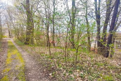 Teren Intravilan Centrul Civic - 4