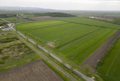 Teren extravilan de 22500mp Zona Ineu - 7