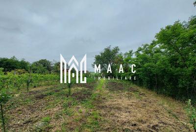 Casa | 1331 mp Teren | Miercurea Sibiului | - 10