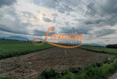 Teren Stupini Calea Feldioarei 11800 mp,25 euro/mp, front asfalt-DN13 - 2
