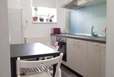 Apartament 1 camera Pet Friendly - 5