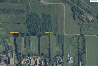 Teren Extravilan Uliuc - 4