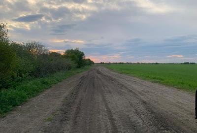 DJ200  Stefanesti de Jos / Dascalu    - Targoviste Gaesti  Vanzare  Teren - 2