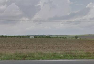 Mihail Kogalniceanu- Teren 25.000mp cu deschidere directa la DN2A de 193ml - 2