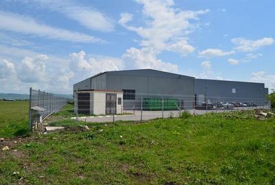 Teren intravilan industrial cu PUZ si utilitati in apropiere 6000mp zona Vest - 7
