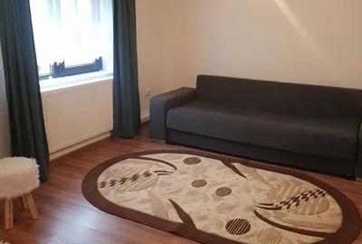 Cabana 4 camere zona Valea Avrigului - 15