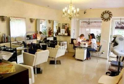 Vila P+M, 100 mp, pretabil pentru salon înfrumusețare sau servicii conexe - 1