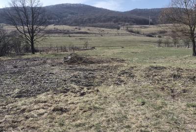 Teren intravilan de vânzare – deschidere mare la drum național! Viile Teci - 1