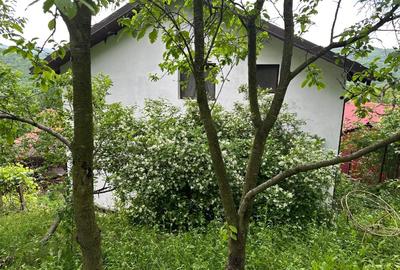 Casa vânzare comuna Bozioru munții Buzăului - 9