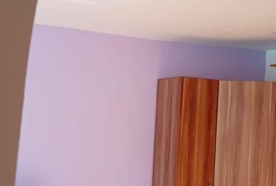 Inchiriez apartament 2 camere - 10