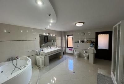 Casa moderna P+1E+M Lugoj 511mp - 19