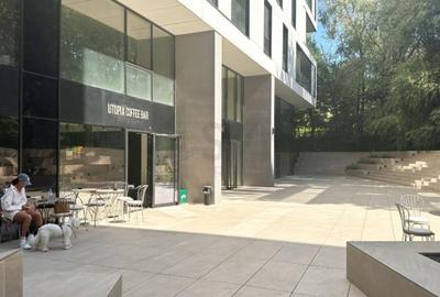 REC3001719 Spatiu Comercial I Birou in Win Herastrau I Inchiriat - 2