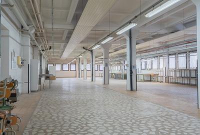 Spatiu industrial/comercial P+1, 3400 mp utili, teren 4000 mp, Marasti - 7