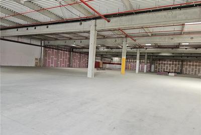 Spatiu Industrial - 4000 mp - Logistica - Productie - Depozitare - Distributie - 4