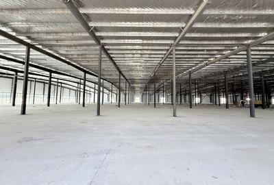 Centru Comercial  16000 mp hale depozitare productie logistica - 14